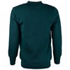 Jersey (Sizes 77 & 117) - green/grey tek